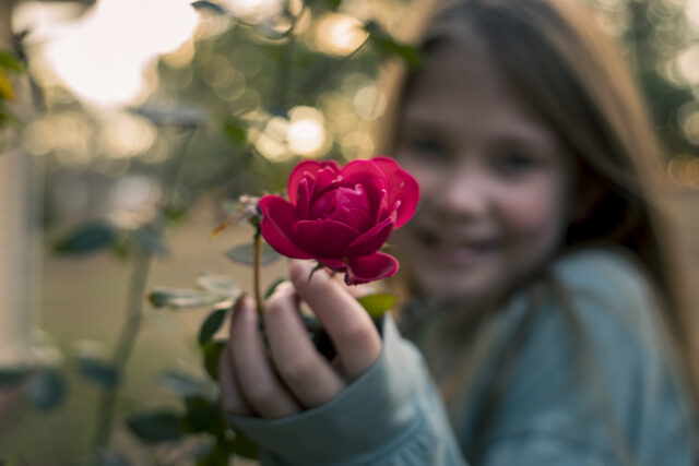 Chloe holding a rose
